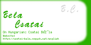 bela csatai business card